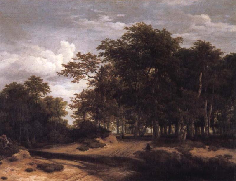 Jacob van Ruisdael The Great forest Sweden oil painting art